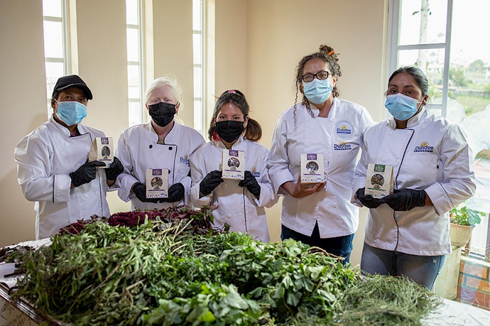 Videos and Case Studies image